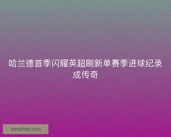 哈兰德首季闪耀英超刷新单赛季进球纪录成传奇